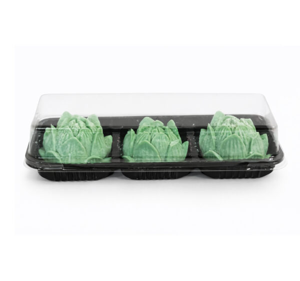 COFFRET  FONDANT ANSHIN